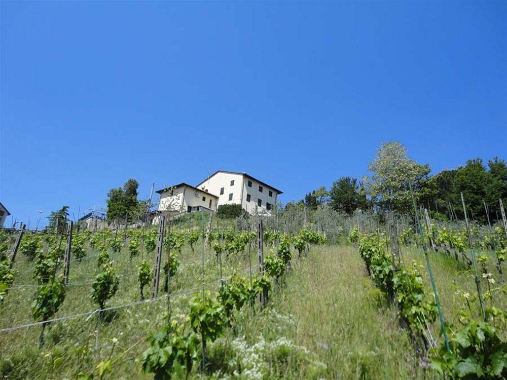 Albergo La Pieve Castelfiorentino Ngoại thất bức ảnh