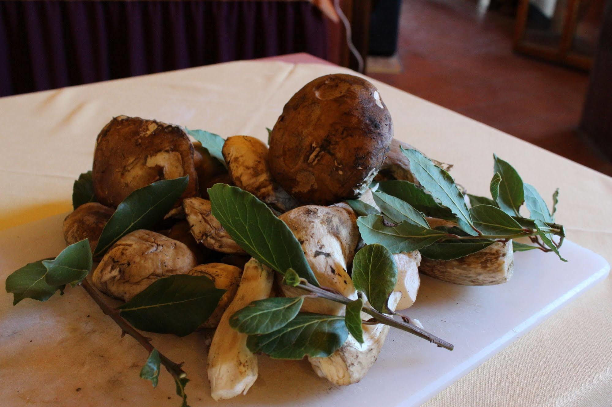 Albergo La Pieve Castelfiorentino Ngoại thất bức ảnh